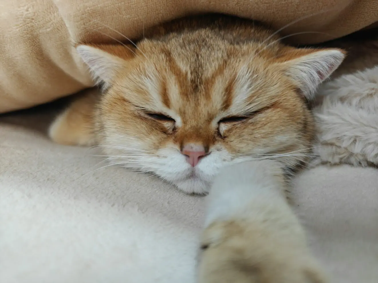 Photo by Binzi Xu on Unsplash