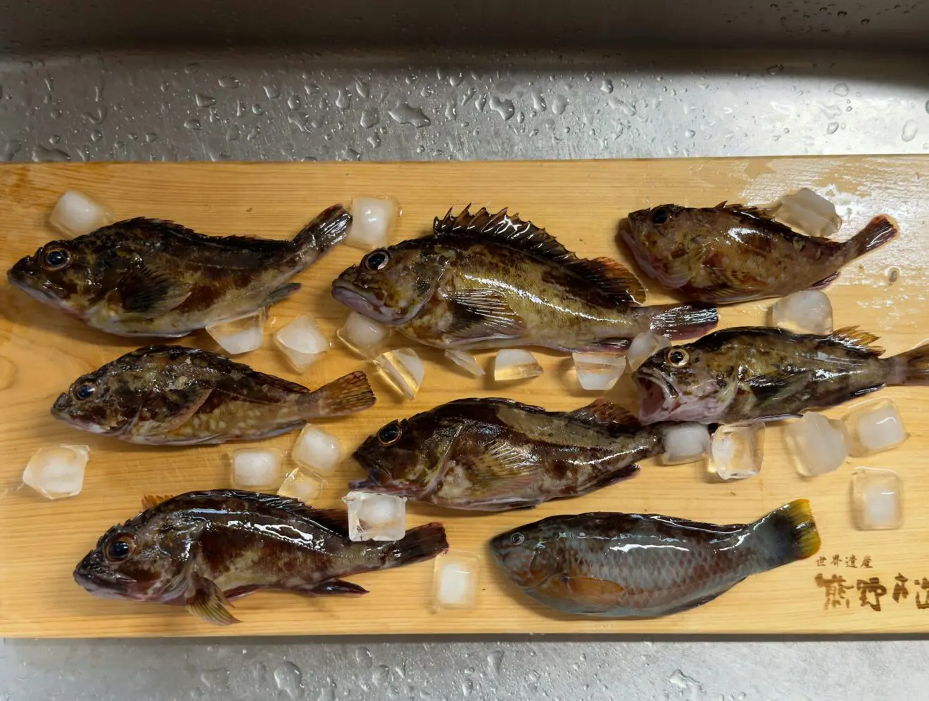 Fresh fish displayed on ice cubes on a wooden board, ready for sale.