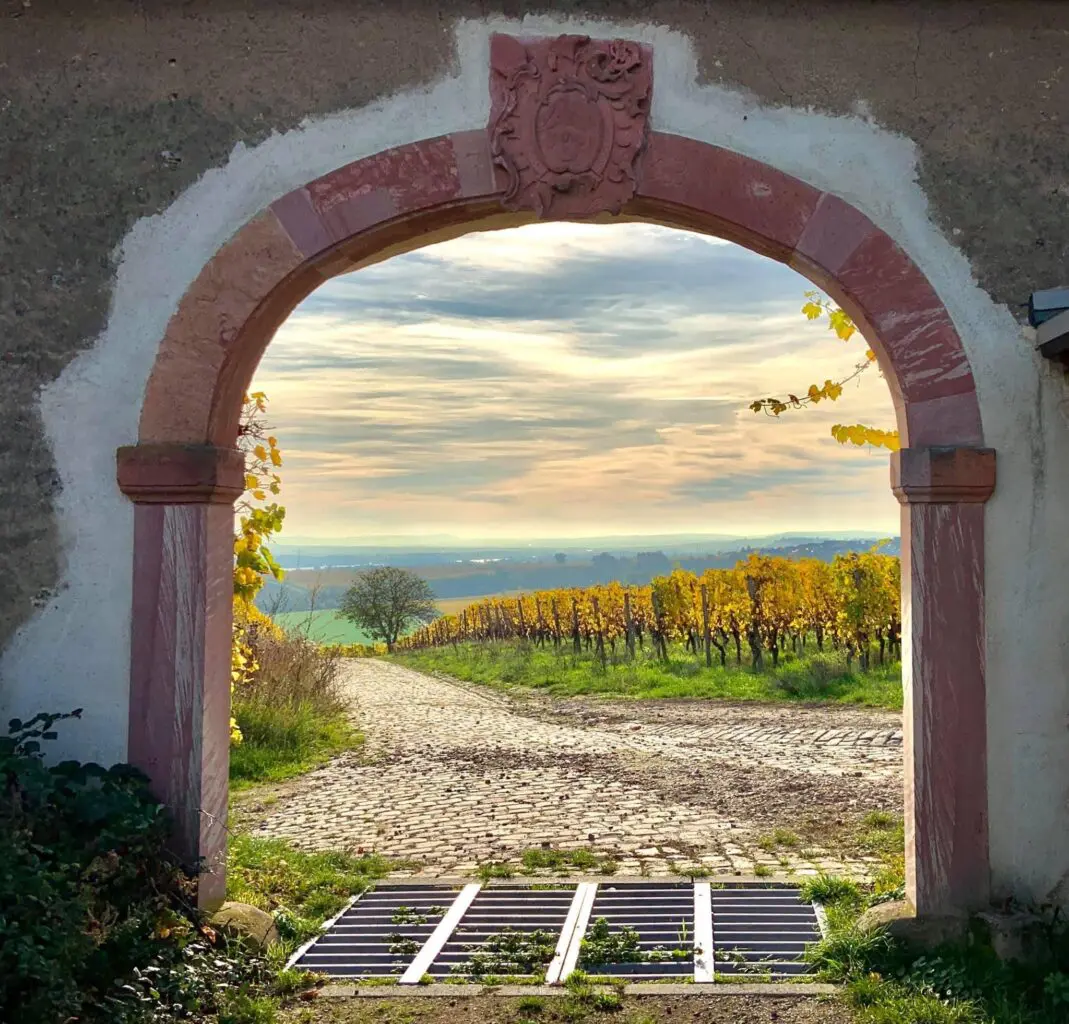 View through an archway at Steinberg, Kloster Eberbach in the Rheingau